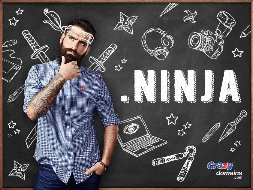 Ninja domain